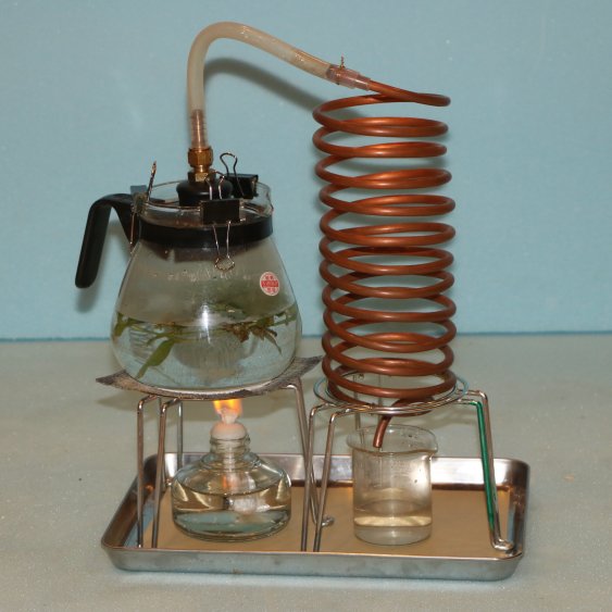 蒸留器　Evaporator